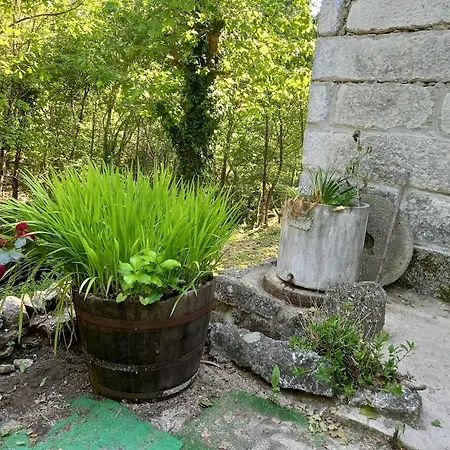 Quinta Do Castermo - Ribeira 4 Personnes Tatil Evi